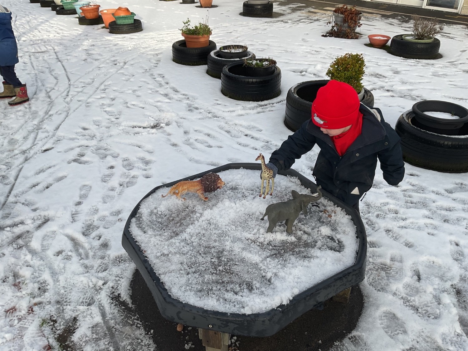Fun and learning in the snow